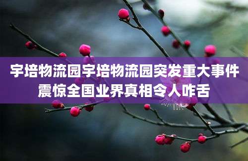 宇培物流园宇培物流园突发重大事件震惊全国业界真相令人咋舌