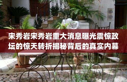 宋秀岩宋秀岩重大消息曝光震惊政坛的惊天转折揭秘背后的真实内幕