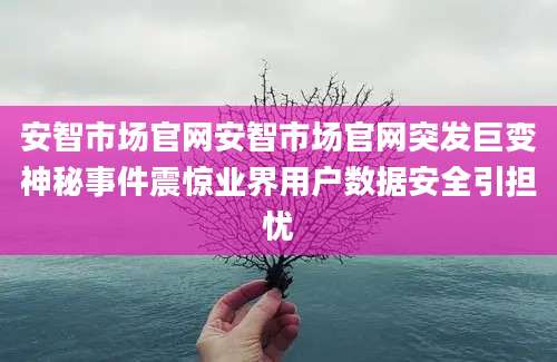 安智市场官网安智市场官网突发巨变神秘事件震惊业界用户数据安全引担忧