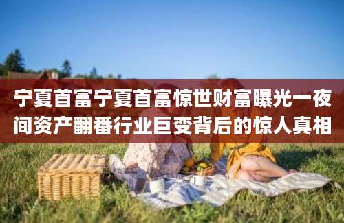 宁夏首富宁夏首富惊世财富曝光一夜间资产翻番行业巨变背后的惊人真相