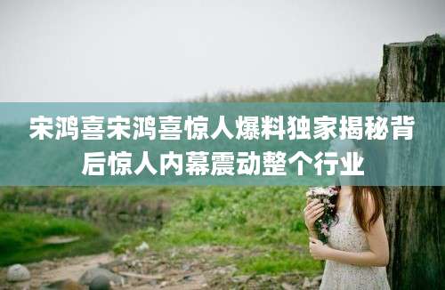 宋鸿喜宋鸿喜惊人爆料独家揭秘背后惊人内幕震动整个行业