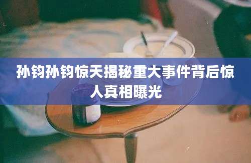 孙钧孙钧惊天揭秘重大事件背后惊人真相曝光