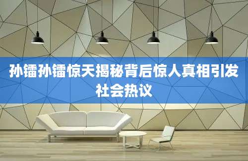孙镭孙镭惊天揭秘背后惊人真相引发社会热议