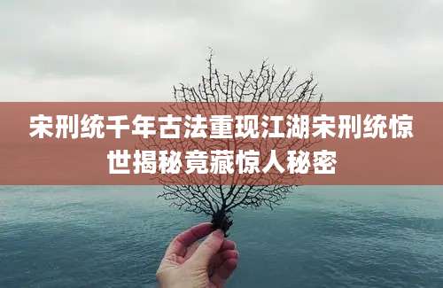 宋刑统千年古法重现江湖宋刑统惊世揭秘竟藏惊人秘密