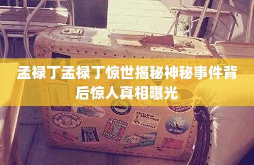 孟禄丁孟禄丁惊世揭秘神秘事件背后惊人真相曝光
