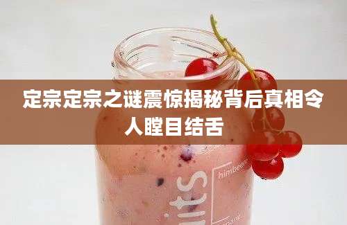 定宗定宗之谜震惊揭秘背后真相令人瞠目结舌