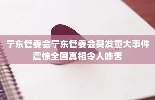 宁东管委会宁东管委会突发重大事件震惊全国真相令人咋舌