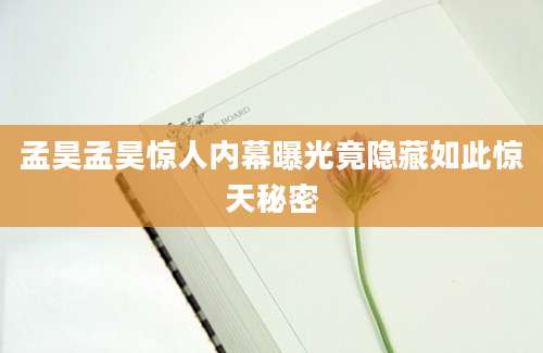 孟昊孟昊惊人内幕曝光竟隐藏如此惊天秘密