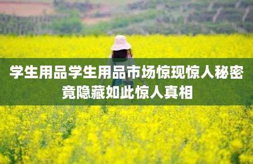 学生用品学生用品市场惊现惊人秘密竟隐藏如此惊人真相
