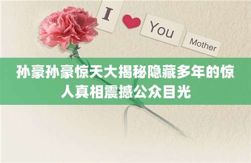 孙豪孙豪惊天大揭秘隐藏多年的惊人真相震撼公众目光