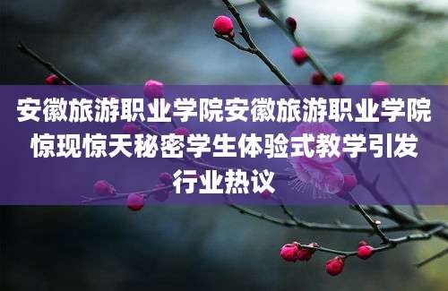 安徽旅游职业学院安徽旅游职业学院惊现惊天秘密学生体验式教学引发行业热议
