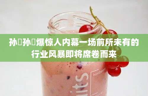 孙蕡孙蕡爆惊人内幕一场前所未有的行业风暴即将席卷而来