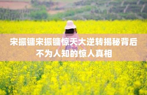 宋振镛宋振镛惊天大逆转揭秘背后不为人知的惊人真相