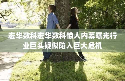 宏华数科宏华数科惊人内幕曝光行业巨头疑似陷入巨大危机
