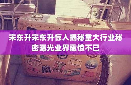 宋东升宋东升惊人揭秘重大行业秘密曝光业界震惊不已