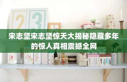 宋志坚宋志坚惊天大揭秘隐藏多年的惊人真相震撼全网