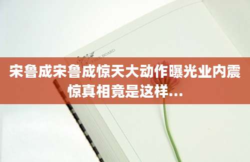 宋鲁成宋鲁成惊天大动作曝光业内震惊真相竟是这样...