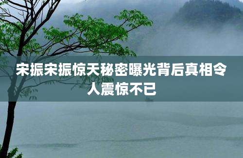 宋振宋振惊天秘密曝光背后真相令人震惊不已