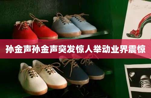 孙金声孙金声突发惊人举动业界震惊