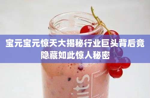 宝元宝元惊天大揭秘行业巨头背后竟隐藏如此惊人秘密