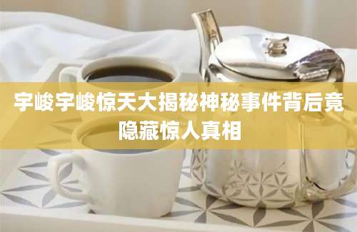 宇峻宇峻惊天大揭秘神秘事件背后竟隐藏惊人真相
