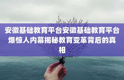 安徽基础教育平台安徽基础教育平台爆惊人内幕揭秘教育变革背后的真相