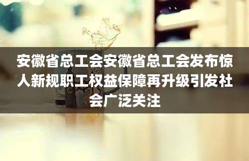 安徽省总工会安徽省总工会发布惊人新规职工权益保障再升级引发社会广泛关注