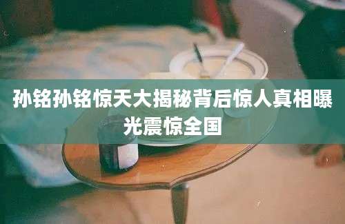 孙铭孙铭惊天大揭秘背后惊人真相曝光震惊全国