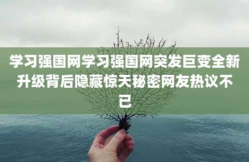 学习强国网学习强国网突发巨变全新升级背后隐藏惊天秘密网友热议不已