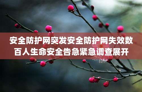 安全防护网突发安全防护网失效数百人生命安全告急紧急调查展开