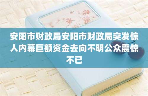 安阳市财政局安阳市财政局突发惊人内幕巨额资金去向不明公众震惊不已