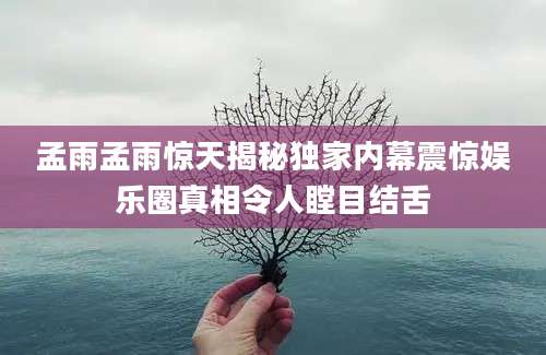 孟雨孟雨惊天揭秘独家内幕震惊娱乐圈真相令人瞠目结舌