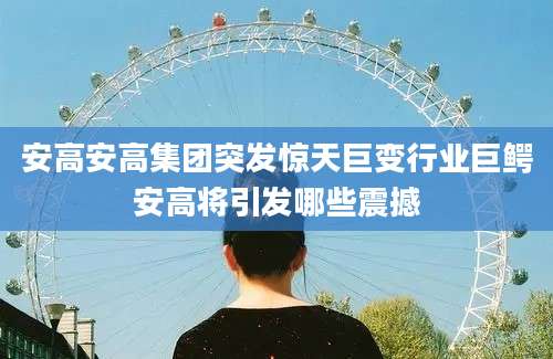 安高安高集团突发惊天巨变行业巨鳄安高将引发哪些震撼