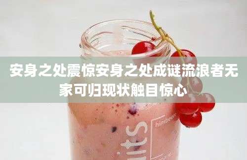 安身之处震惊安身之处成谜流浪者无家可归现状触目惊心