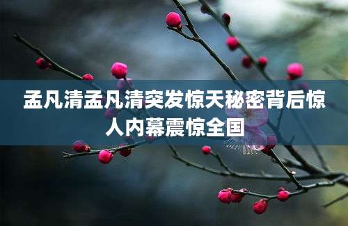 孟凡清孟凡清突发惊天秘密背后惊人内幕震惊全国