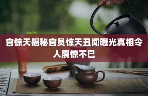 官惊天揭秘官员惊天丑闻曝光真相令人震惊不已