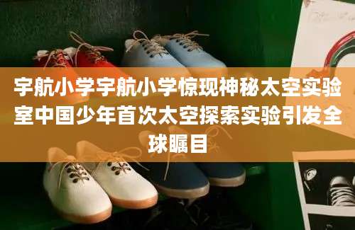 宇航小学宇航小学惊现神秘太空实验室中国少年首次太空探索实验引发全球瞩目