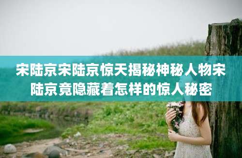 宋陆京宋陆京惊天揭秘神秘人物宋陆京竟隐藏着怎样的惊人秘密
