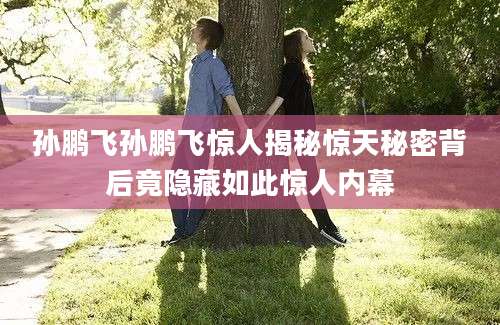 孙鹏飞孙鹏飞惊人揭秘惊天秘密背后竟隐藏如此惊人内幕