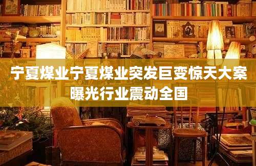 宁夏煤业宁夏煤业突发巨变惊天大案曝光行业震动全国
