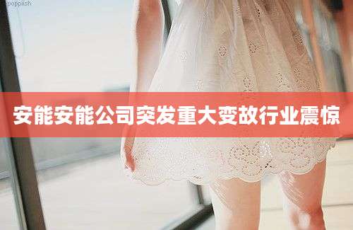 安能安能公司突发重大变故行业震惊
