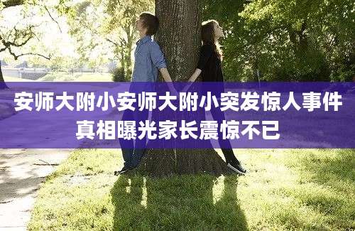 安师大附小安师大附小突发惊人事件真相曝光家长震惊不已
