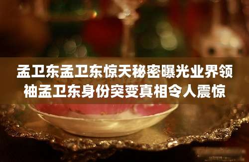 孟卫东孟卫东惊天秘密曝光业界领袖孟卫东身份突变真相令人震惊