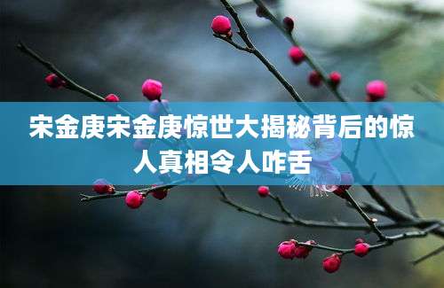 宋金庚宋金庚惊世大揭秘背后的惊人真相令人咋舌