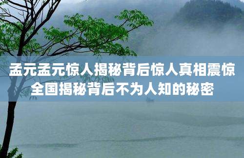 孟元孟元惊人揭秘背后惊人真相震惊全国揭秘背后不为人知的秘密