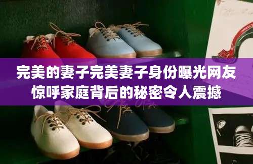完美的妻子完美妻子身份曝光网友惊呼家庭背后的秘密令人震撼