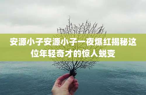 安源小子安源小子一夜爆红揭秘这位年轻奇才的惊人蜕变