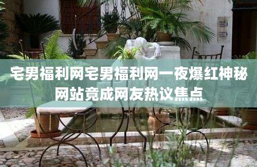 宅男福利网宅男福利网一夜爆红神秘网站竟成网友热议焦点
