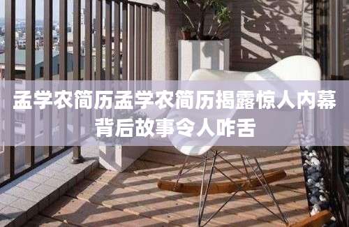 孟学农简历孟学农简历揭露惊人内幕背后故事令人咋舌