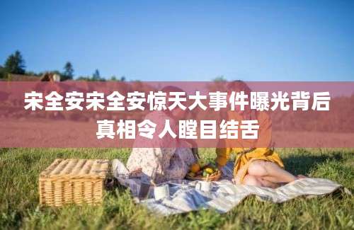 宋全安宋全安惊天大事件曝光背后真相令人瞠目结舌